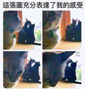 四年了，还是忘不掉“她”吗，可是，她的样
