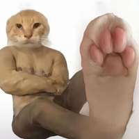 邮箱裸耳坠出卖 走中介价格私季节6季+，