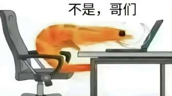 德国人：太好了，现在看起来未来的第三次世