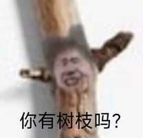 我勒个大豆啊，究竟是什么逆天人才会互相在