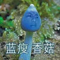 好消息：家长买爱疯17的同时顺便给我带了