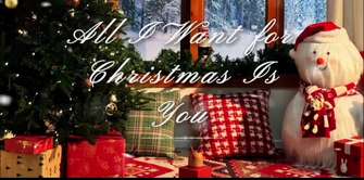 ೀ ⁺ ｡ Merry Christma