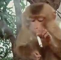 我的生活没你们浪漫，我的生活有很多压力，