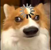 俺不中嘞，看到个入，有丝有玛（都九十级）