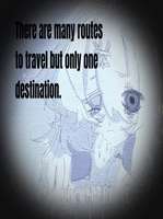 There are many route