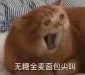 网易，你会给两小时限免消失给出交代吗，明