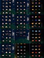 共号，青鸟季和迁徙季毕业，复刻多，有一些