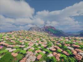 一些低配光影：
按顺序为：bliss，f