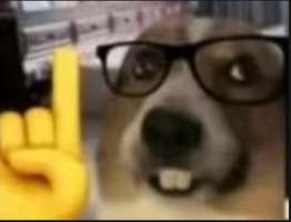 我认为旅行者是觉醒了七灵根(后面还可能觉