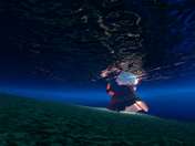 #光遇##光遇初始##樊苏##苏樊##雨