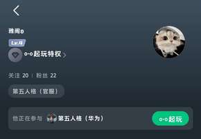 这个雷霆猪私自拿我号加她好友，公告写着不