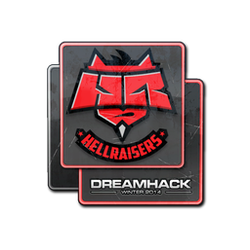 印花 | HellRaisers | 2014年 DreamHack 锦标赛