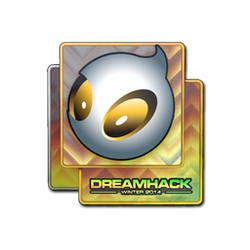 印花 | Team Dignitas（全息）| 2014年 DreamHack 锦标赛