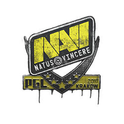 封装的涂鸦 | Natus Vincere | 2017年克拉科夫锦标赛