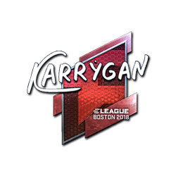 印花 | karrigan（闪亮）| 2018年波士顿锦标赛