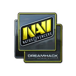 印花 | Natus Vincere（闪亮）| 2014年 DreamHack 锦标赛