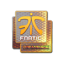 印花 | Fnatic（全息）| 2014年 DreamHack 锦标赛