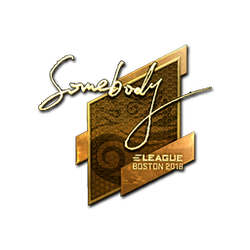 印花 | somebody（金色）| 2018年波士顿锦标赛