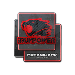 印花 | iBUYPOWER | 2014年 DreamHack 锦标赛