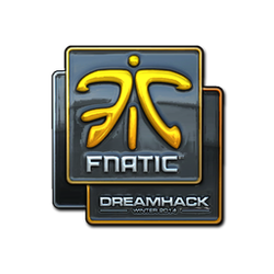 印花 | Fnatic（闪亮）| 2014年 DreamHack 锦标赛