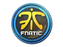 Fnatic | Cologne 2014