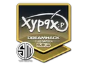 Xyp9x | Cluj-Napoca 2015
