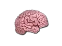 CS On The Mind