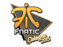 Fnatic | Cologne 2015