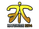 Fnatic (Foil) | Katowice 2014