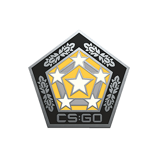 幻彩胸章_CS2饰品交易_网易BUFF