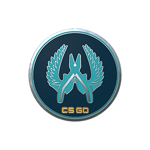 守护者胸章_CS2饰品交易_网易BUFF