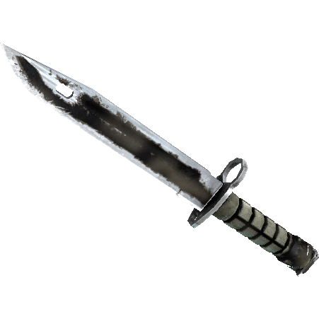 刺刀（★ StatTrak™） | 枯焦之色 