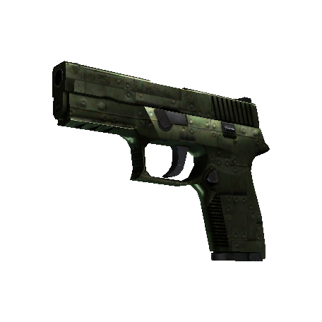 P250（StatTrak™） | 铠甲 