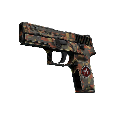 P250（StatTrak™） | 红岩 