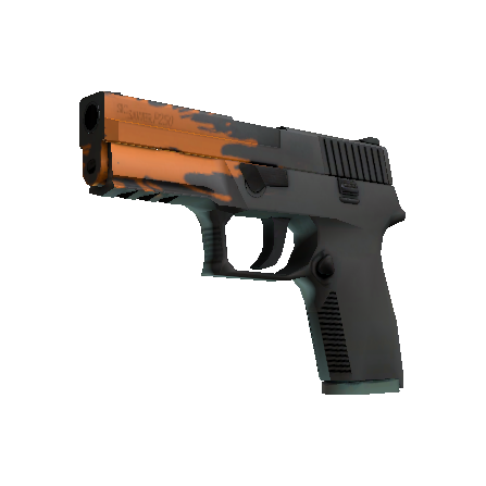 P250（StatTrak™） | 狂野飞溅 