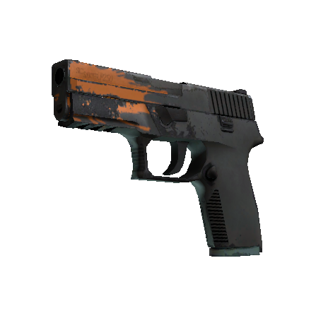 P250（StatTrak™） | 狂野飞溅 