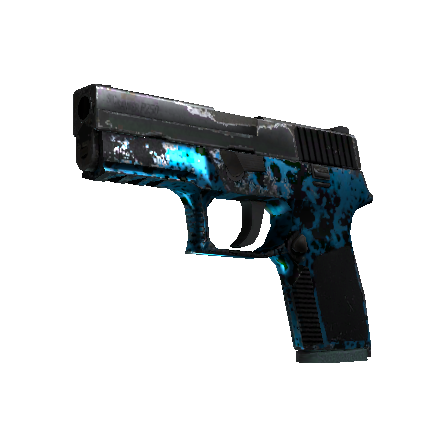 P250（StatTrak™） | 暗潮 