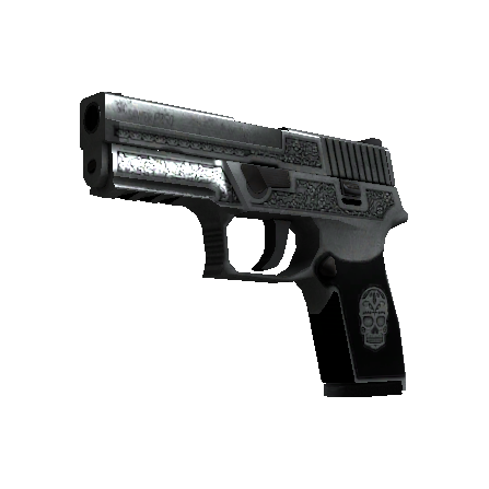 P250（StatTrak™） | 卡特尔 