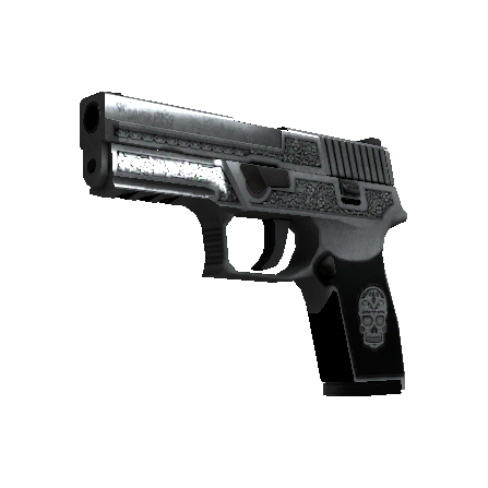 P250（StatTrak™） | 卡特尔 