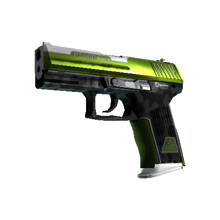 P2000（StatTrak™） | 草皮 