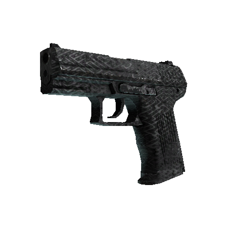 P2000 | 寻路者 