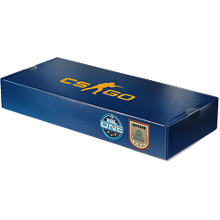 2014年 ESL One 科隆锦标赛炼狱小镇纪念包