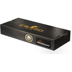 2014年 DreamHack 锦标赛炙热沙城 II 纪念包