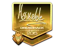 Maikelele (Gold) | Cluj-Napoca 2015