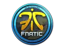 Fnatic (Foil) | Cologne 2014