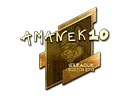 AmaNEk (Gold) | Boston 2018