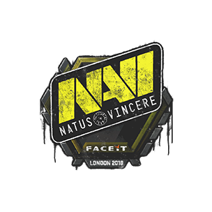 封装的涂鸦 | Natus Vincere | 2018年伦敦锦标赛