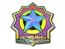 Distinguished Master Guardian (Holo)