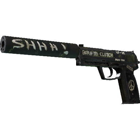 USP 消音版（StatTrak™） | 闪回 