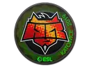 HellRaisers (Holo) | Katowice 2019